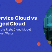 Self Service Cloud vs Managed Cloud