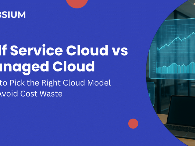 Self-Service-Cloud-vs-Managed-Cloud